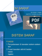 Sistem Saraf
