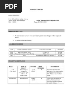 Curriculum Vitae: Academic Mirror