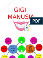 Gigi Manusia