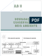 Cap.9 - Ciencias Do Ambiente - 2011.1 PDF