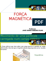 Forca Magnetica