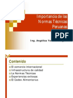 Importancia de Las Normas Técnicas Peruanas