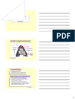 Timo PDF