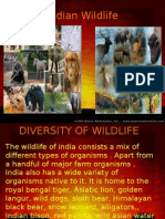 Indian Wildlife