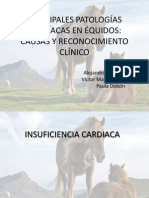 patología cardiaca