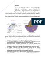 Metabolisme Lipoprotein