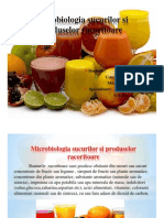 Proiect-Microbiologia Sucurilor Si Produselor Racoritoare