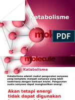 Katabolisme