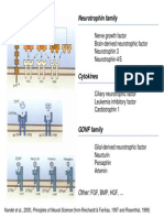 Neurotrofismo