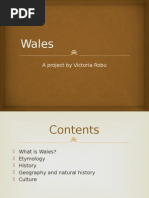 Wales: A Project by Victoria Robu