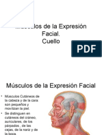 Músculos de La Expresión Facial 