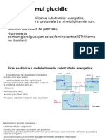 Metabolismul Glucidic-Diabet