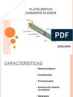 platelmintos-Exp zoología.ppt