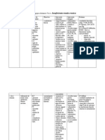 Plan de Ingrijire Al Bolnavei T