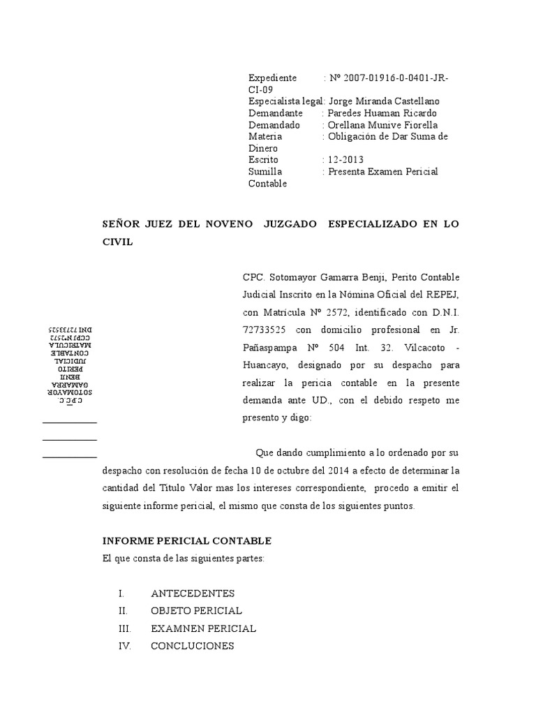 Modelo Informe Pericial Pagar Instrumento Negociable
