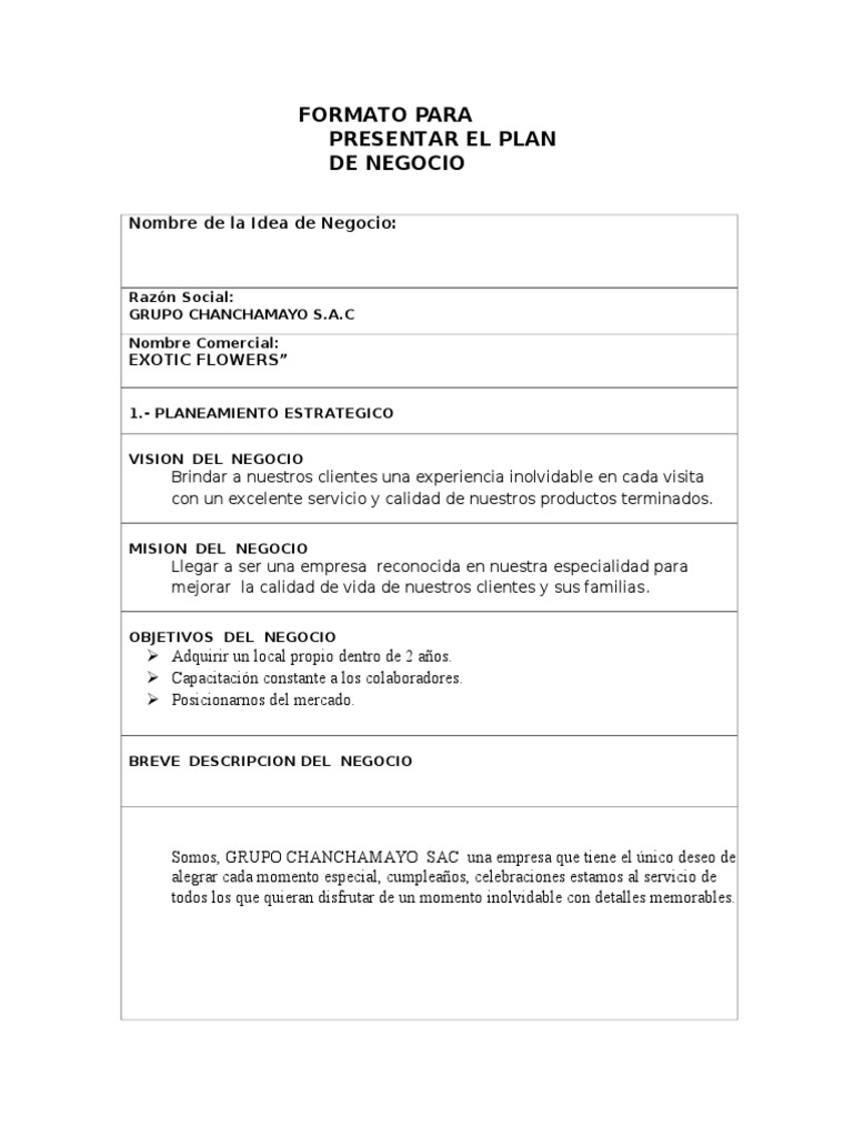 Formato Plan de Negocio para Empresas | PDF | Producto (Negocio ...