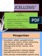 Brucellosis