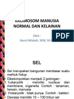 Kromosom Manusia Normal Dan Kelainan Kromosom