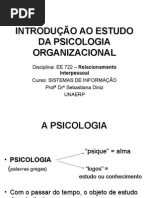 Psicologia Organizacional