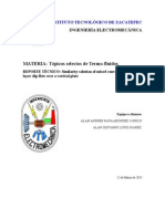 Informe Tecnico Topicos Selectos (capa limite)