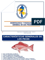 Anatomia y Fisiología de Peces