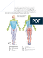 Sistem Sensorik