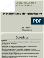 Metabolismo Del Glucógeno 