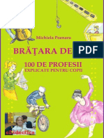 BrataraDeAur_OSutaDeProfesiiExplicatePtCopii