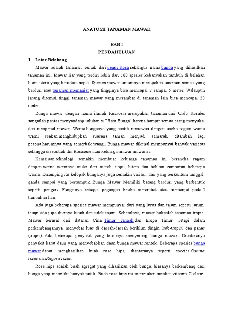 ANATOMI TANAMAN MAWAR ANATOMI TANAMAN MAWAR