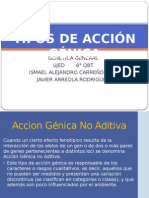 Tipos de Accion Genica