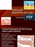 Fisiologi Absorpsi Zat Gizi: Katrin Roosita, Msi