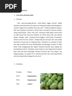 Download Labu Siam by AlfiNurfauziah SN265976968 doc pdf