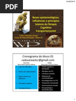 Bases epistemológicas, influências e princípios básicos da Terapia Cognitivo Comportamental