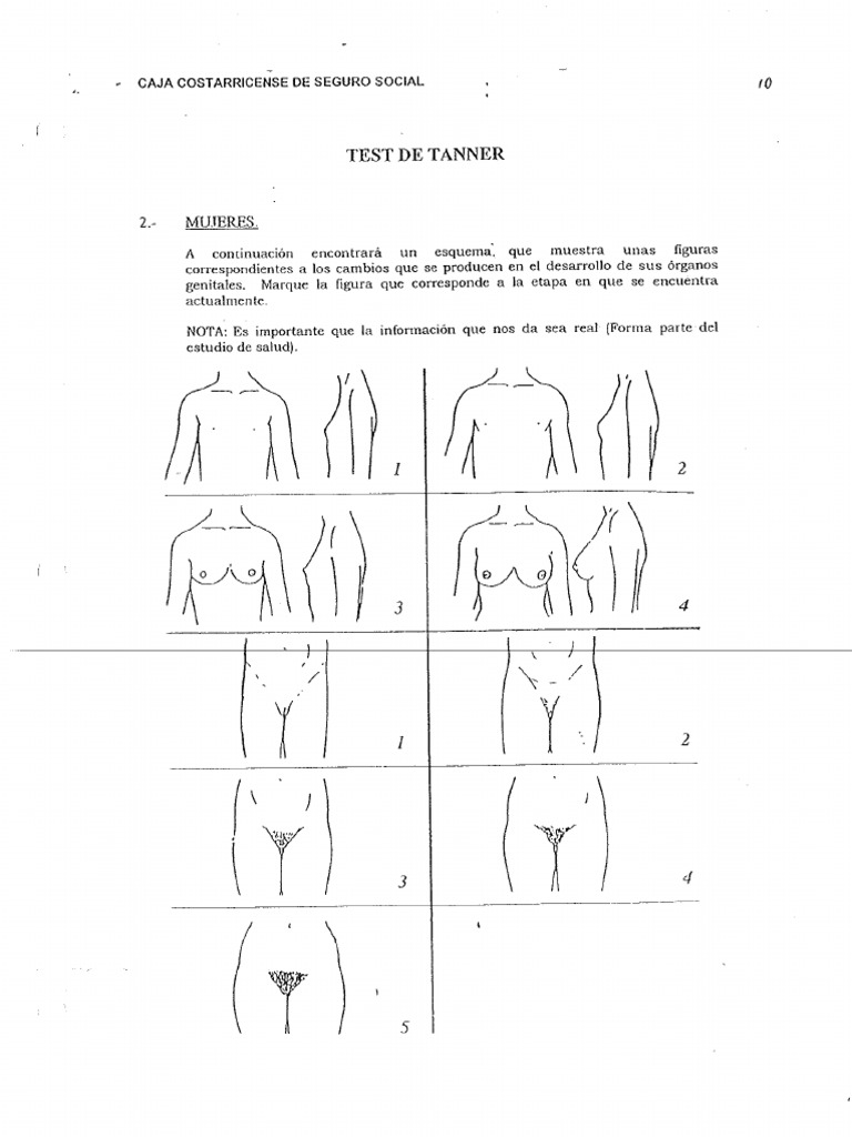 4 Test de Tanner | PDF