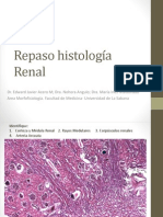  Histologia Renal