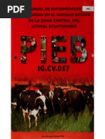 Manual de Enfermedades Infecciosas en El Ganado Bovino de La Zona Del Litoral Ecuatoriano