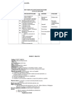 Proiect didactic - cariera