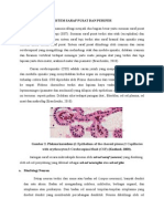 Histologi Sisitem Saraf