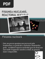 Fisiunea Nucleară