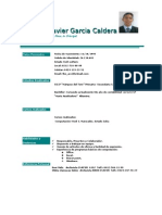 Curriculum Vitae Leandro Garcia