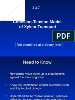 3 3 7 H Cohesion-Tension Model of Xylem Transport