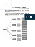 Teorias Del Desarrollo Humano