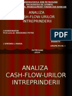 analiza cash-flow-urilor.ppt