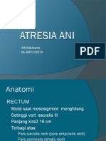 Anatomi Rektum dan Atresia Ani