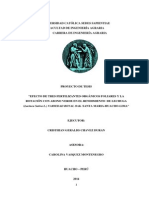 Cristian Chavez - Efecto Del Biol Con Un Sistema de Rotacion Deabono Verde en El Rendimiento de La Lechuga-1