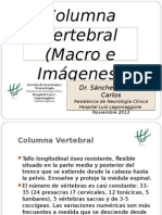 Columna Vertebral 18122014