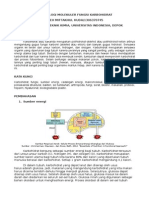 LTM Biologi Molekuler Fungsi Karbohidrat