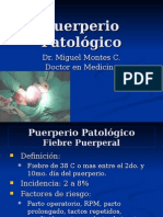 10 Puerperiopatolgico 100727222846 Phpapp02
