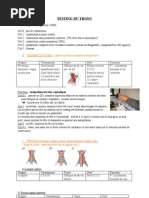 Download Testing Muscle Du Cou by choplin SN26608601 doc pdf