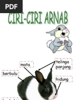 Barang Buatan Malaysia  PDF